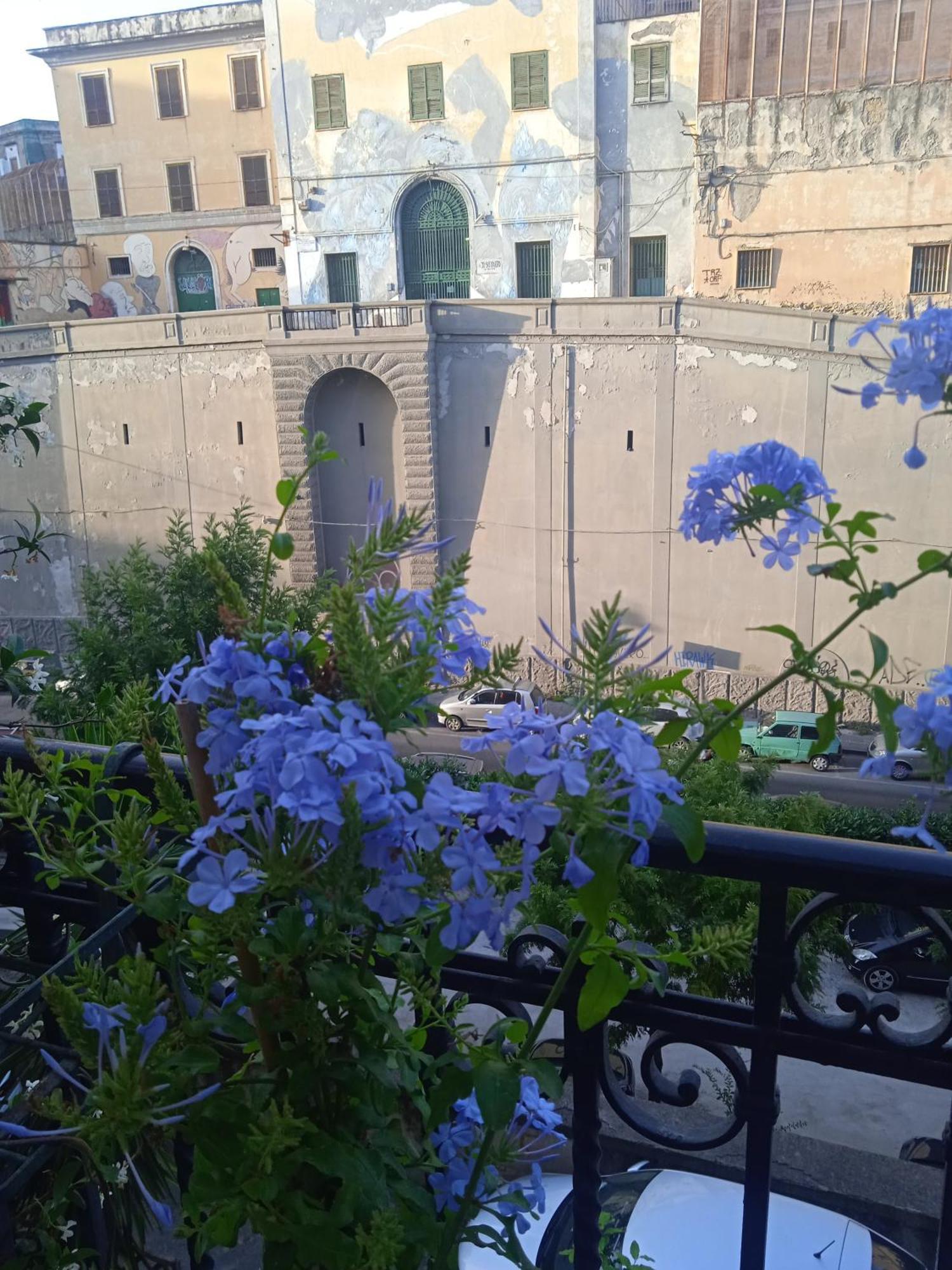 Maison d'hôtes Well - Museo Naples